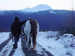 Mt Rainier Jake, Linze back closer