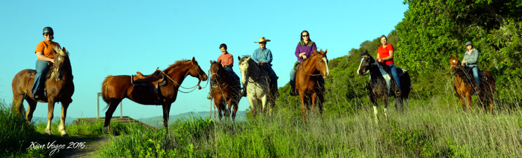 Getaway Horseplay