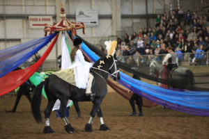 nwhfe-blackpearl-carousel-white-dress-16-img_5272 Northwest Horse Fair