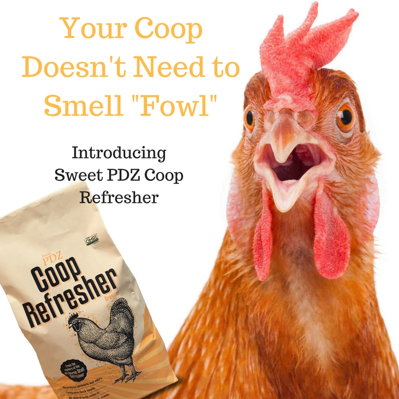 Sweet PDZ Coop Refresher