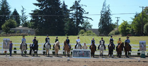 working equitation