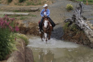 Natural Versus Man-Made Trail Obstacles