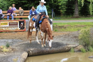 Natural Versus Man-Made Trail Obstacles