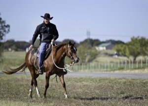 Horseman Clinton Anderson explains From Colt Starting to Well-Trained Horse