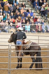 Northwest Horse Fair and Expo 2019