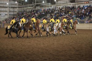 Northwest Horse Fair and Expo 2019