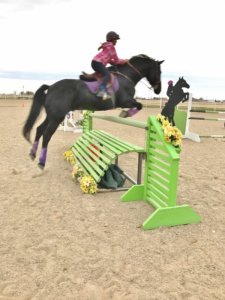 Idaho Horse Expo