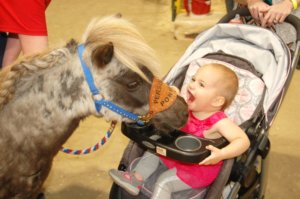 Idaho Horse Expo