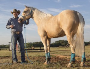 Clinton Anderson Downunder Horsemanship Lesson