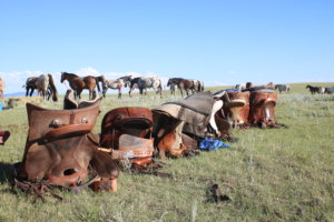 The Chief Joseph Trail Ride