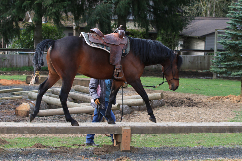 balance beam