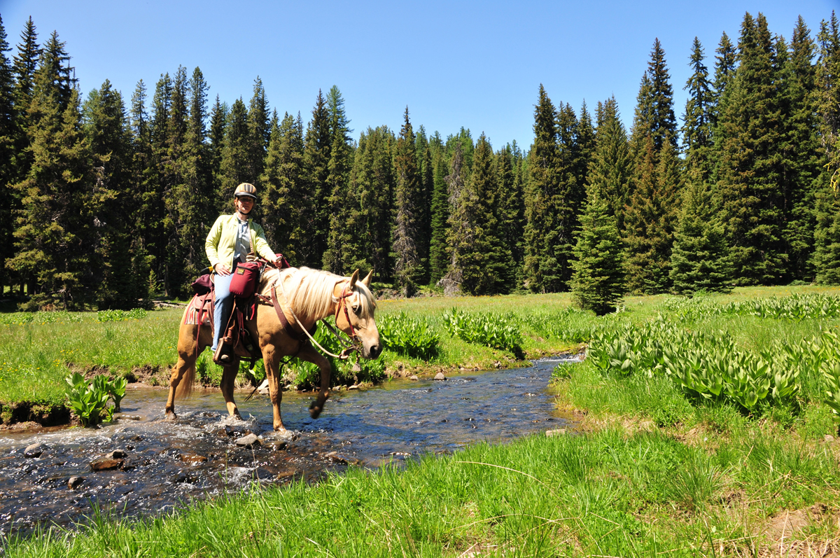 Haney Meadows