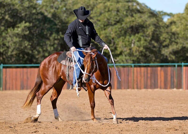 Horseman Clinton Anderson explains From Colt Starting to Well-Trained Horse