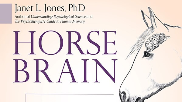 Horse Brain Human Brain The Neuroscience Of Horsemanship Colorado