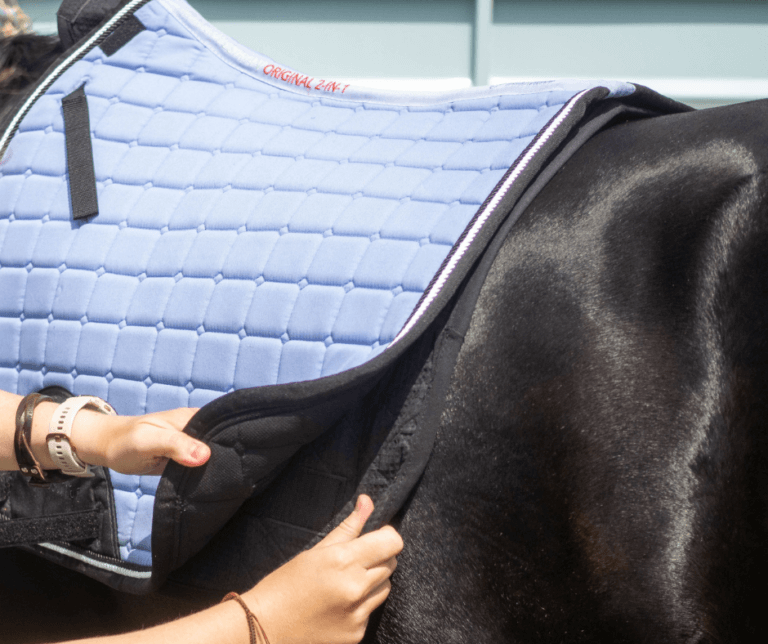 Iconic Equestrian Saddle Pad Features Removable Inner Liner Colorado