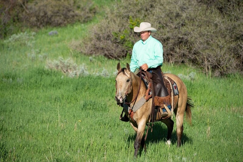 The DiamondMcNabb Ranch Horse Sale Celebrates its 15Year Anniversary