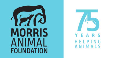 Morris Animal Foundation
