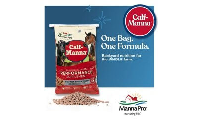 Calf-Manna Nutritional Supplement