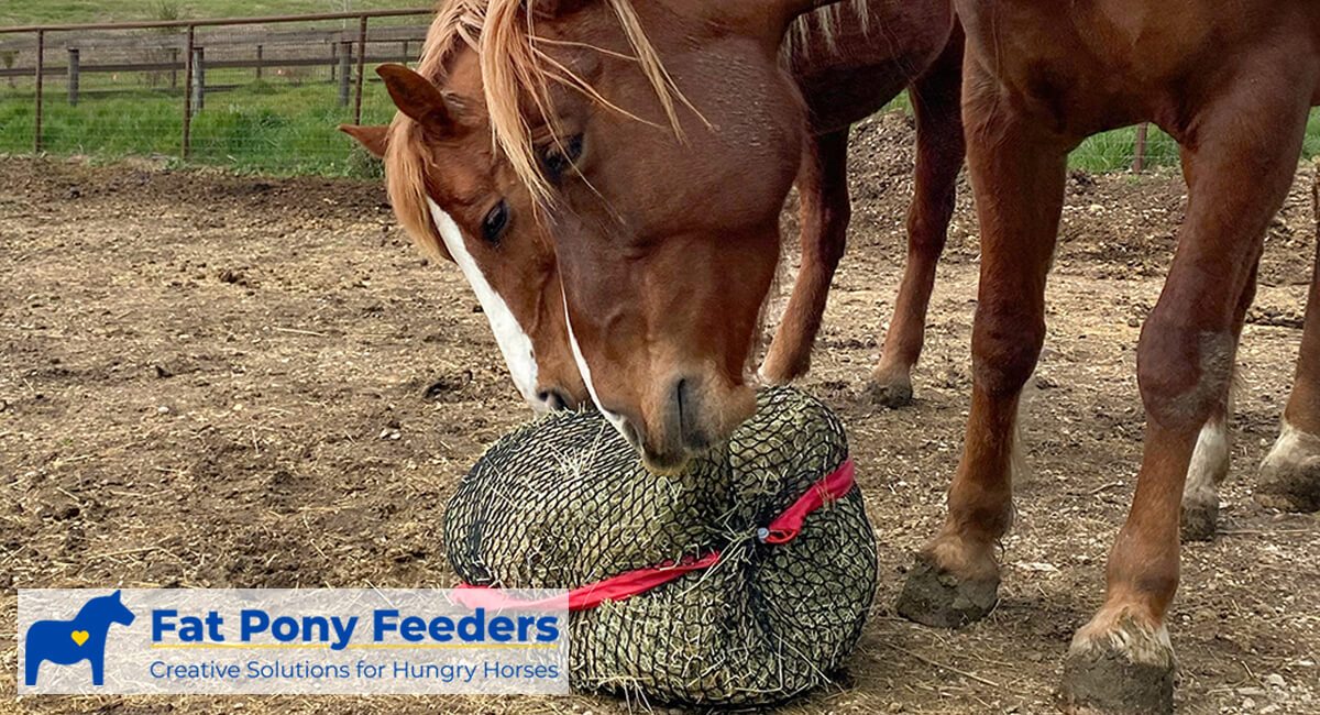 automatic hay feeders