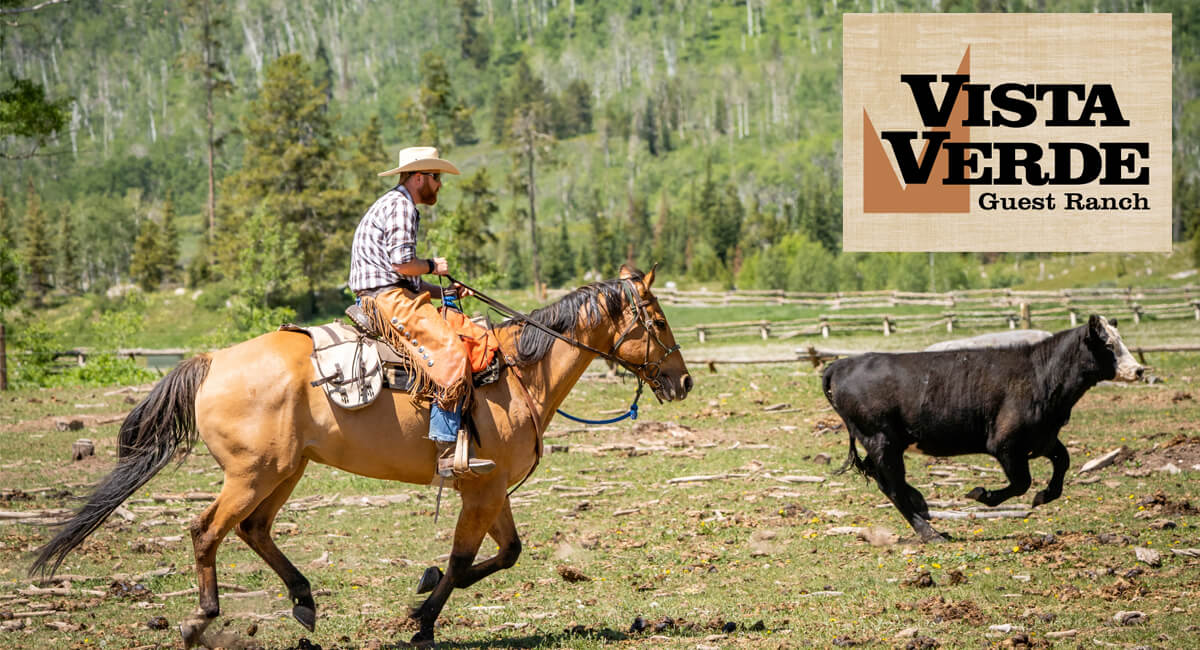 Horsemanship clinic