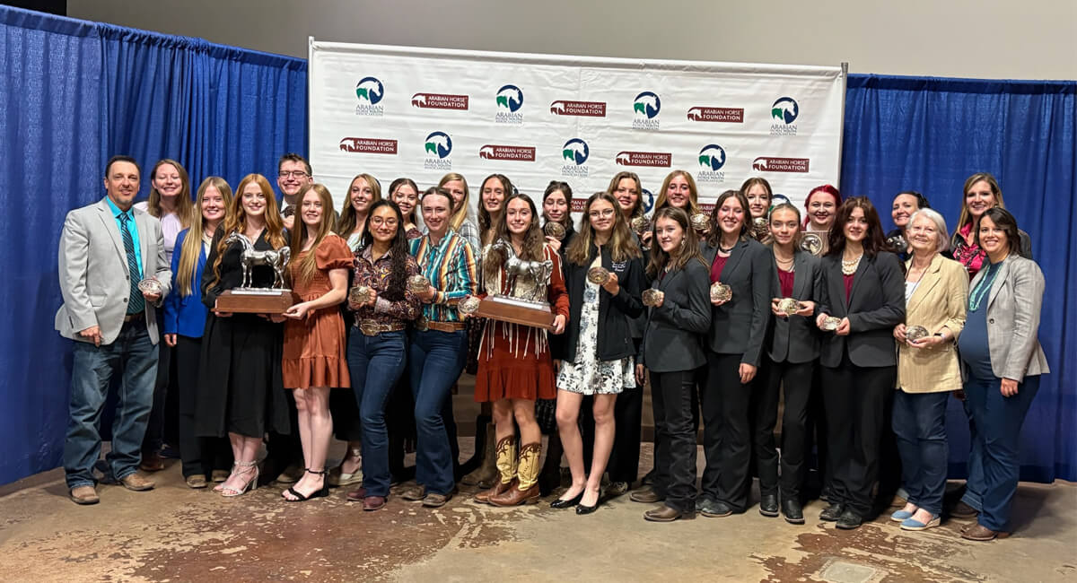 horse judging